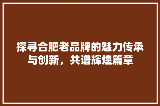 探寻合肥老品牌的魅力传承与创新，共谱辉煌篇章 SEO关键词