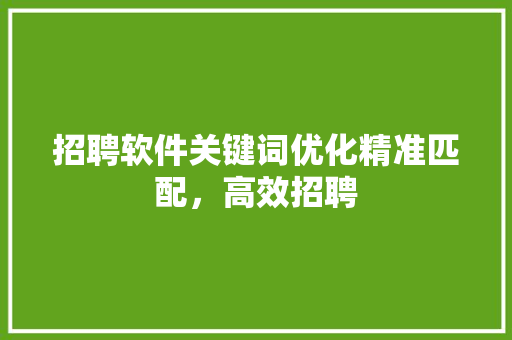 招聘软件关键词优化精准匹配，高效招聘 百度SEO