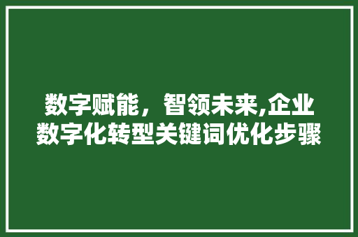 数字赋能，智领未来,企业数字化转型关键词优化步骤 必应SEO