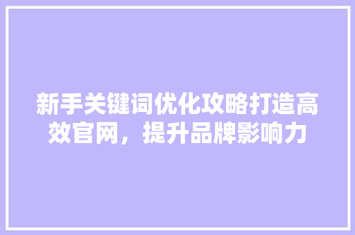 新手关键词优化攻略打造高效官网，提升品牌影响力