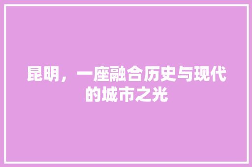昆明，一座融合历史与现代的城市之光 SEO关键词