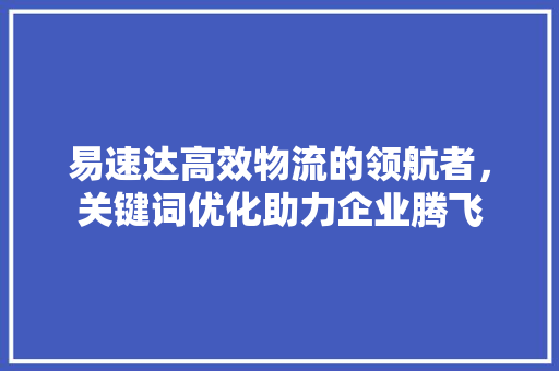 易速达高效物流的领航者，关键词优化助力企业腾飞 SEO关键词