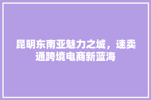 昆明东南亚魅力之城，速卖通跨境电商新蓝海 必应SEO