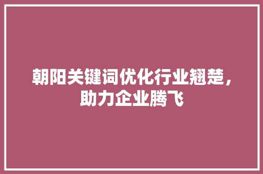 朝阳关键词优化行业翘楚，助力企业腾飞 百度SEO