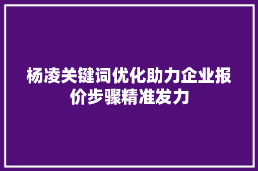 杨凌关键词优化助力企业报价步骤精准发力 SEO关键词