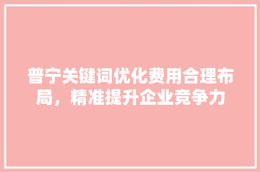 普宁关键词优化费用合理布局，精准提升企业竞争力 必应SEO