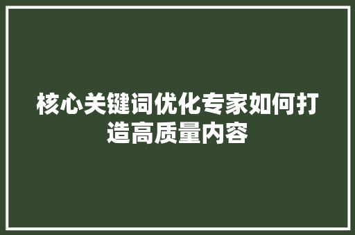 核心关键词优化专家如何打造高质量内容 SEO关键词