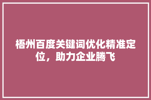 梧州百度关键词优化精准定位，助力企业腾飞 百度SEO