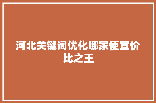 河北关键词优化哪家便宜价比之王 SEO关键词