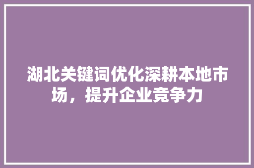 湖北关键词优化深耕本地市场，提升企业竞争力