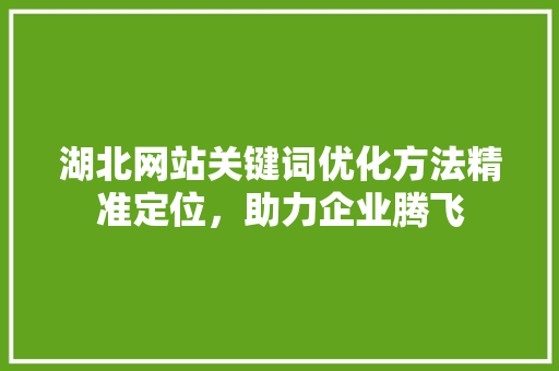 湖北网站关键词优化方法精准定位，助力企业腾飞 神马SEO