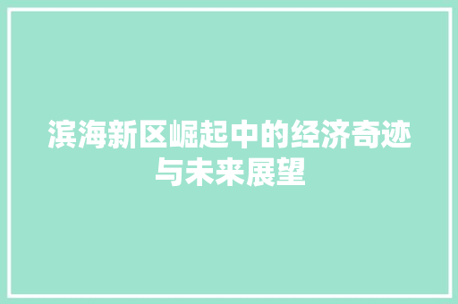 滨海新区崛起中的经济奇迹与未来展望 网站建设公司