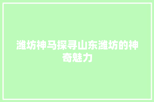 潍坊神马探寻山东潍坊的神奇魅力 百度SEO