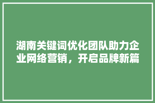 湖南关键词优化团队助力企业网络营销，开启品牌新篇章 神马SEO