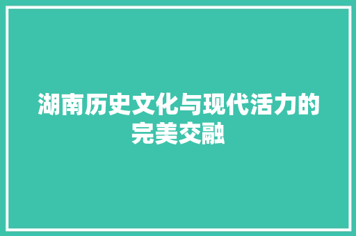 湖南历史文化与现代活力的完美交融 神马SEO