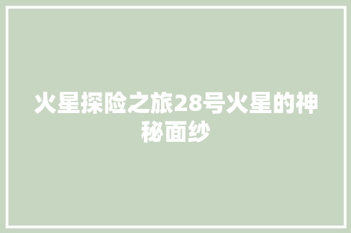 火星探险之旅28号火星的神秘面纱 网站建设公司