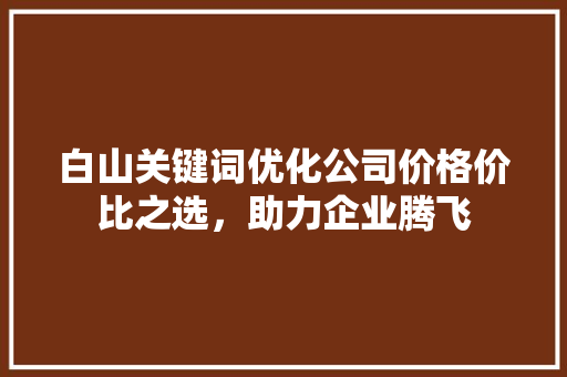 白山关键词优化公司价格价比之选，助力企业腾飞 百度SEO