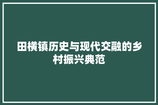 田横镇历史与现代交融的乡村振兴典范 网站建设公司