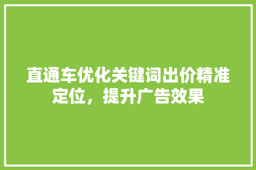 直通车优化关键词出价精准定位，提升广告效果 百度SEO