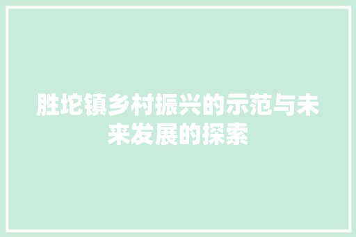 胜坨镇乡村振兴的示范与未来发展的探索 百度SEO