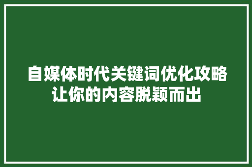 自媒体时代关键词优化攻略让你的内容脱颖而出 百度SEO