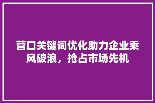 营口关键词优化助力企业乘风破浪，抢占市场先机 神马SEO