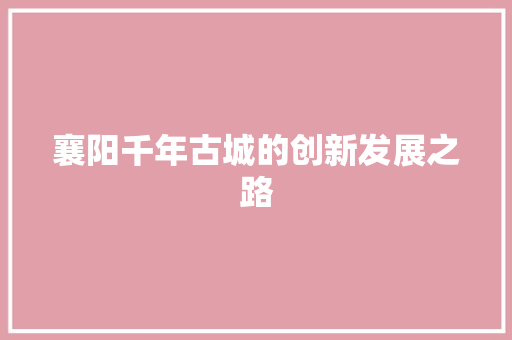 襄阳千年古城的创新发展之路 神马SEO