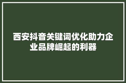 西安抖音关键词优化助力企业品牌崛起的利器 SEO关键词