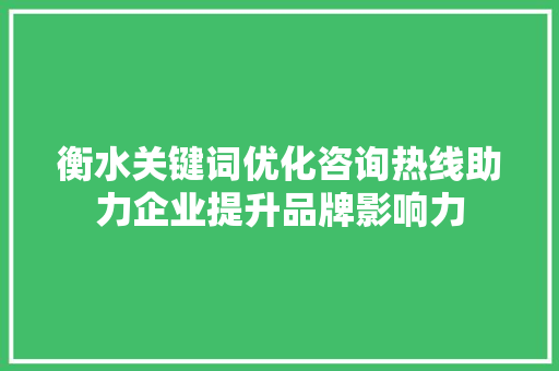 衡水关键词优化咨询热线助力企业提升品牌影响力 SEO关键词