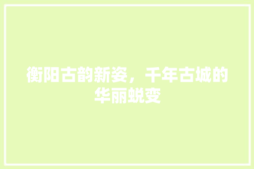 衡阳古韵新姿，千年古城的华丽蜕变 SEO关键词