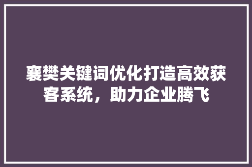 襄樊关键词优化打造高效获客系统，助力企业腾飞 网站建设公司