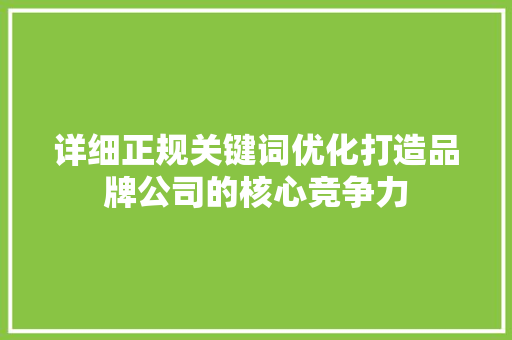 详细正规关键词优化打造品牌公司的核心竞争力 百度SEO
