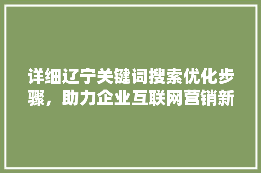 详细辽宁关键词搜索优化步骤，助力企业互联网营销新篇章 百度SEO