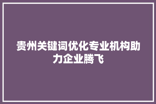 贵州关键词优化专业机构助力企业腾飞 SEO关键词