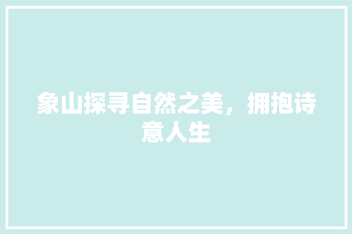 象山探寻自然之美，拥抱诗意人生 网站建设公司