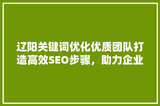 辽阳关键词优化优质团队打造高效SEO步骤，助力企业腾飞