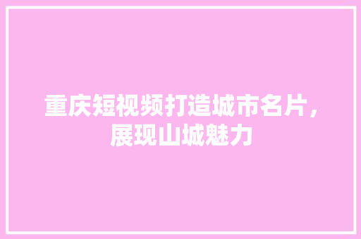 重庆短视频打造城市名片，展现山城魅力 网站建设公司