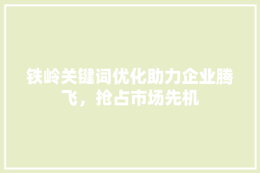 铁岭关键词优化助力企业腾飞，抢占市场先机 必应SEO