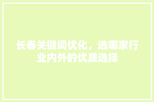 长春关键词优化，选哪家行业内外的优质选择