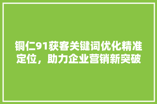铜仁91获客关键词优化精准定位，助力企业营销新突破