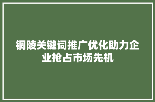 铜陵关键词推广优化助力企业抢占市场先机