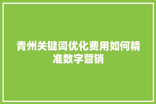 青州关键词优化费用如何精准数字营销 百度SEO