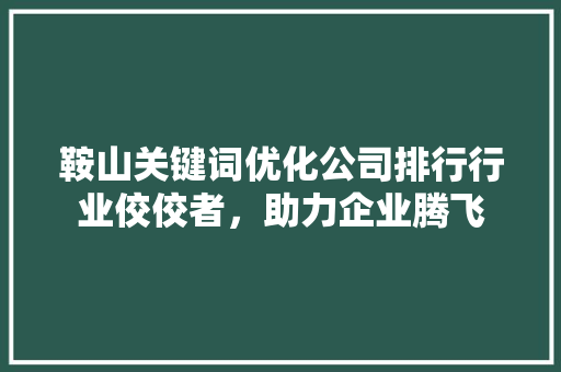 鞍山关键词优化公司排行行业佼佼者，助力企业腾飞 网站建设公司