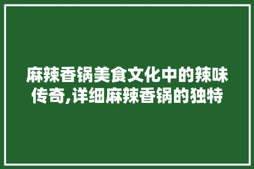 麻辣香锅美食文化中的辣味传奇,详细麻辣香锅的独特魅力