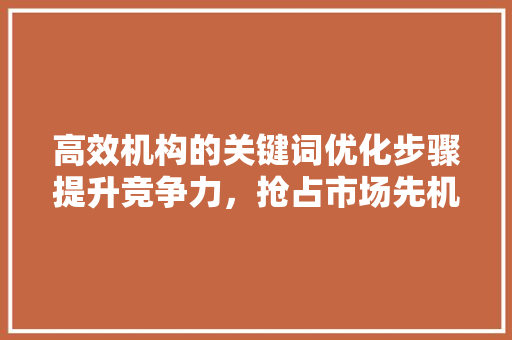 高效机构的关键词优化步骤提升竞争力，抢占市场先机 SEO关键词