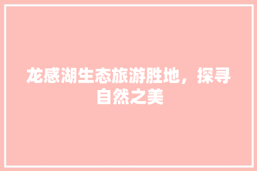 龙感湖生态旅游胜地，探寻自然之美