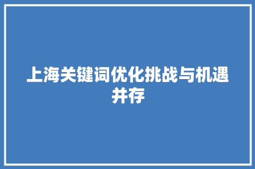 上海关键词优化挑战与机遇并存