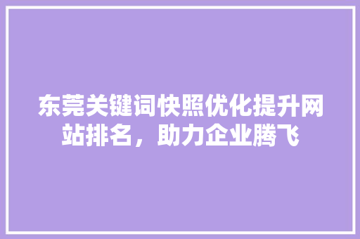 东莞关键词快照优化提升网站排名，助力企业腾飞 必应SEO