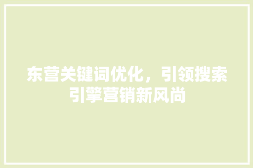 东营关键词优化，引领搜索引擎营销新风尚 百度SEO