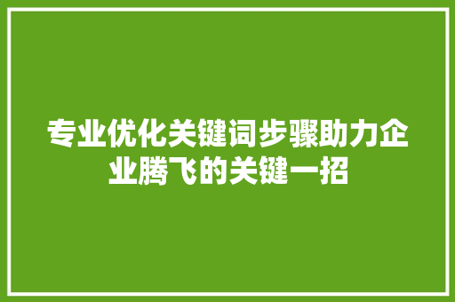 专业优化关键词步骤助力企业腾飞的关键一招 必应SEO